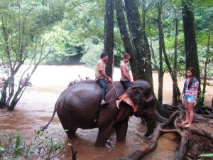 Mondulkiri_Elephant_Mondulkiri_07
