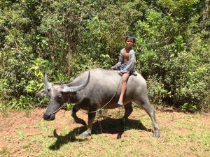 News_resort_Ream_Sihanoukville_19