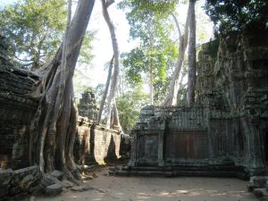 Temple_Ta_Phrom_(7)